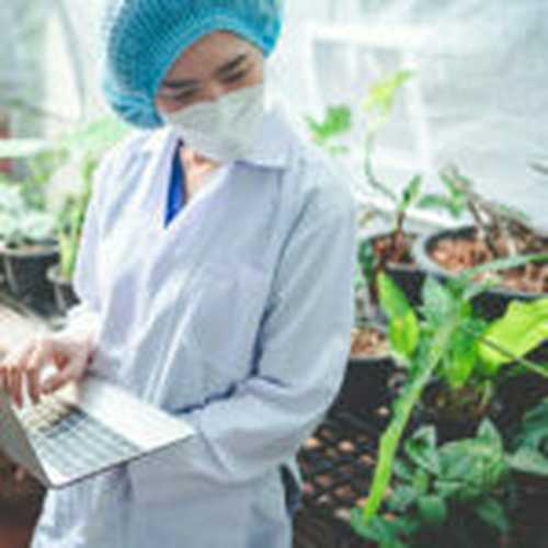 tarımda iot 'nin kullanımı ve 2024 bitki etiketleme klavuzu 5 Tarımda IoT